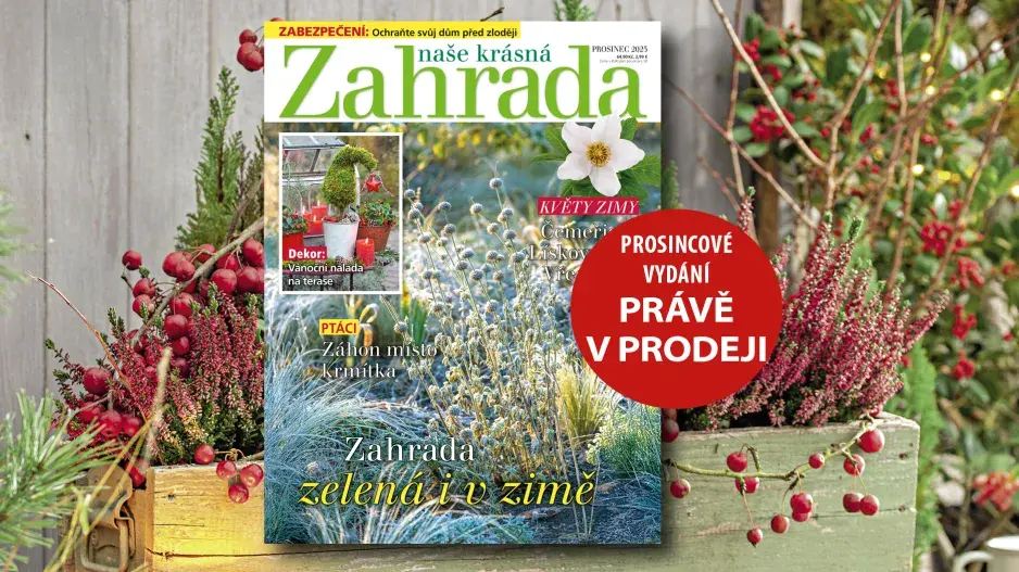 Naše krásná zahrada prosinec 2025