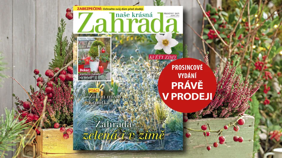 Naše krásná zahrada prosinec 2025