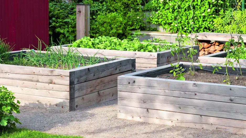 Zahrada s tělocvičnou