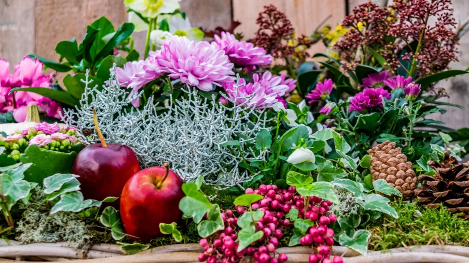 Mrazuvzdorné truhlíky 