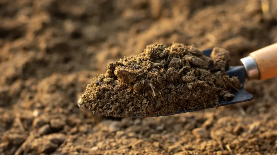 Rašelinu v zahradě nahraďte kompostem