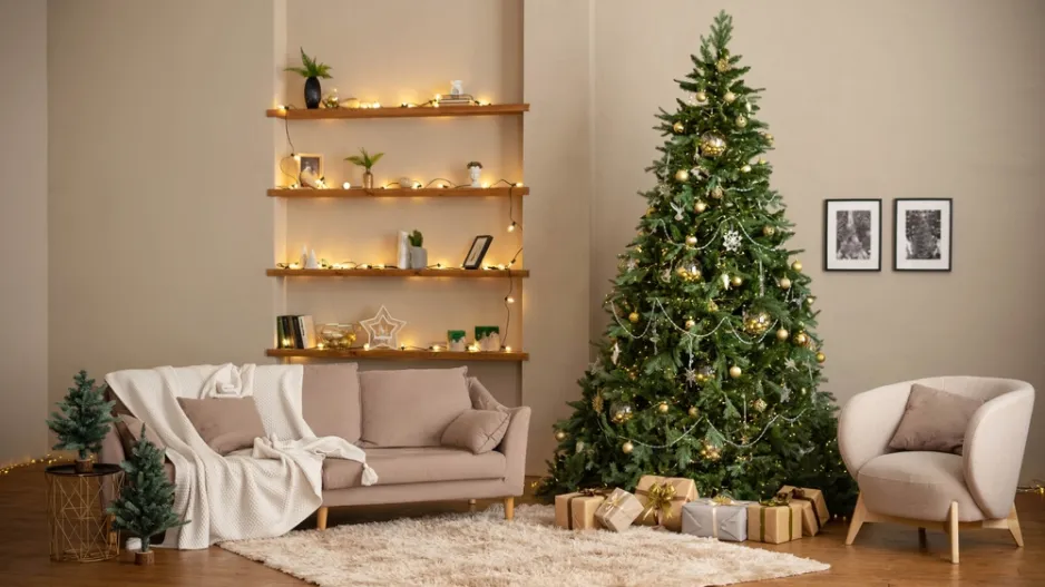 Vánoční barvy stromků pro rok 2025