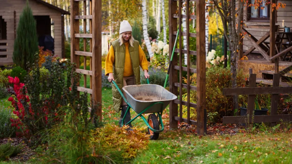 Zahradní katastrofy v listopadu 