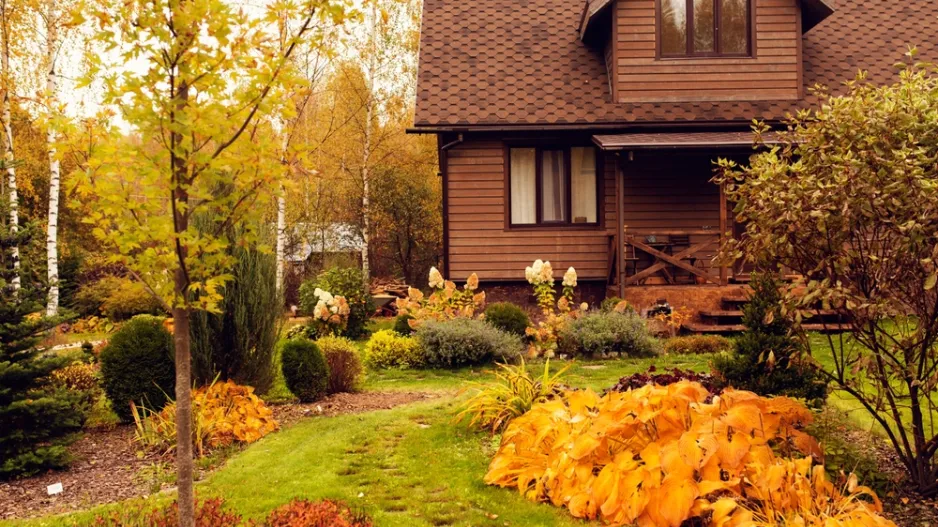 podzimní barvy v zahradě