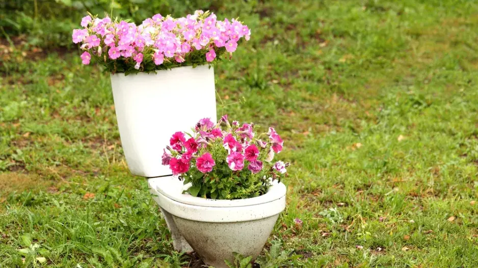 Světový den toalet