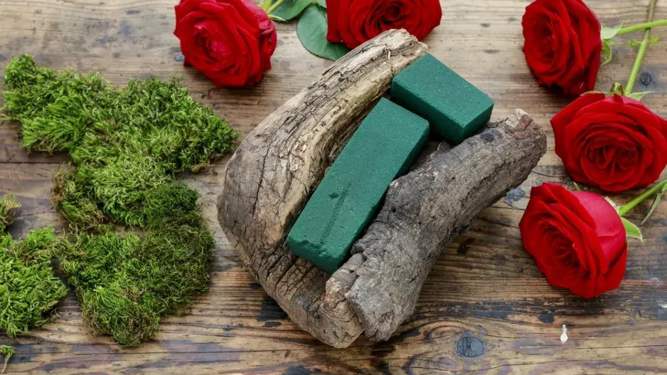 Není pařez jako pařez, ten náš kvete růžemi