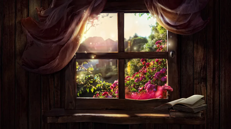 Okno do zahrady