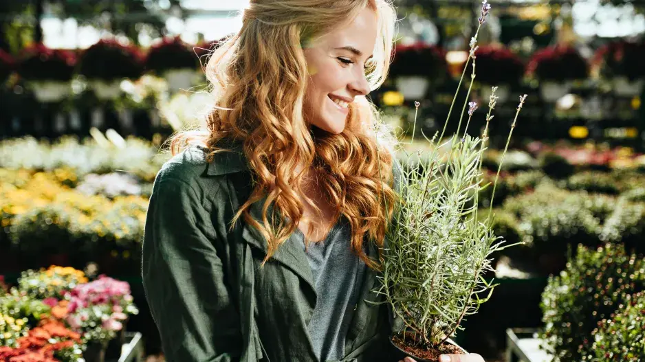 První pomoc v podobě bylinek