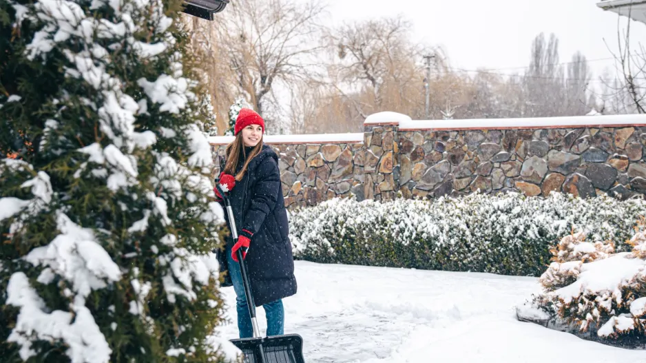 Zmrzlá zahrada nemusí být katastrofa 