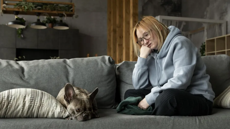 Zvířata na Silvestra 