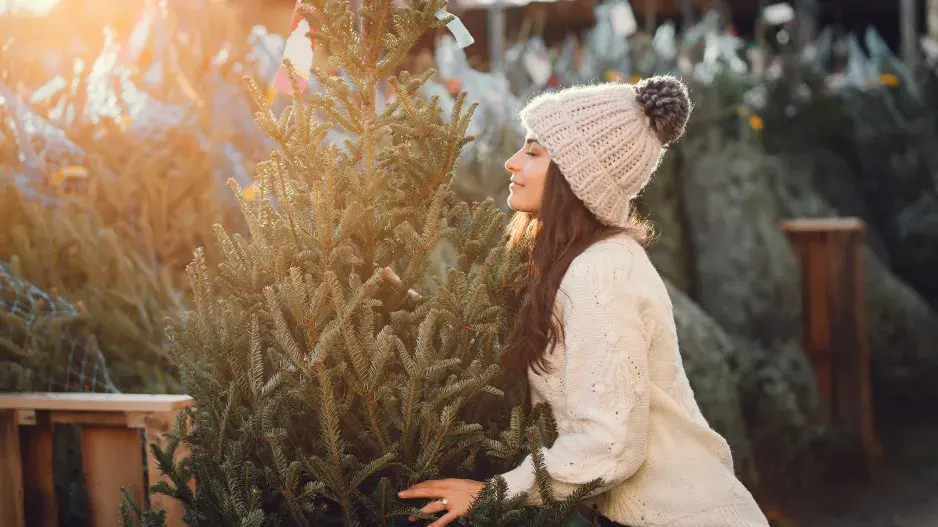 Vánoční stromeček