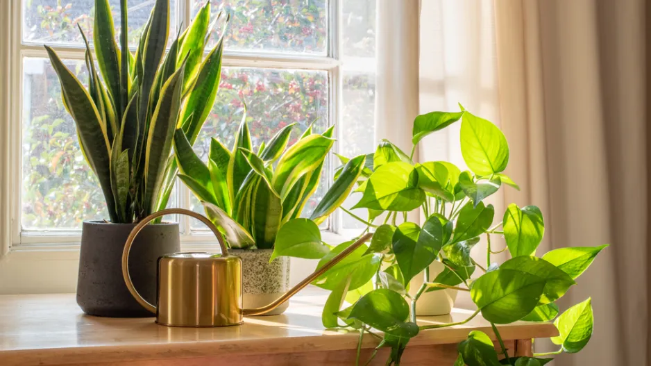 Orosená okna budou minulostí