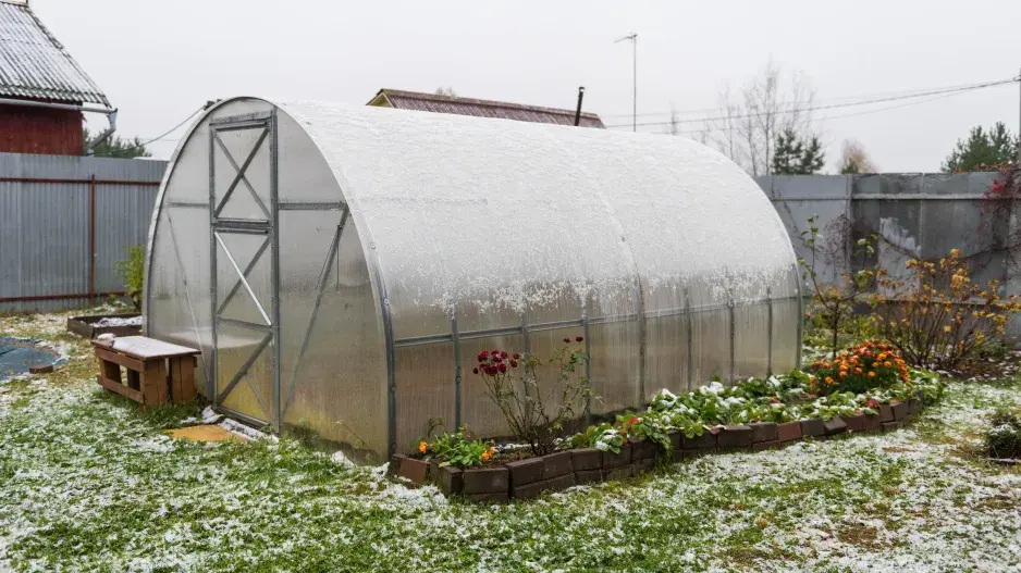 Skleník v zimě