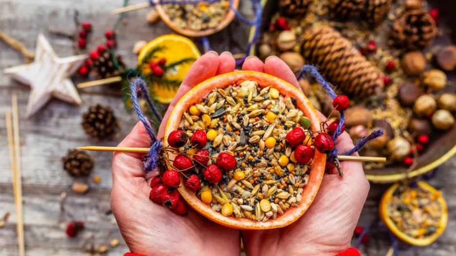 krmítko z pomeranče