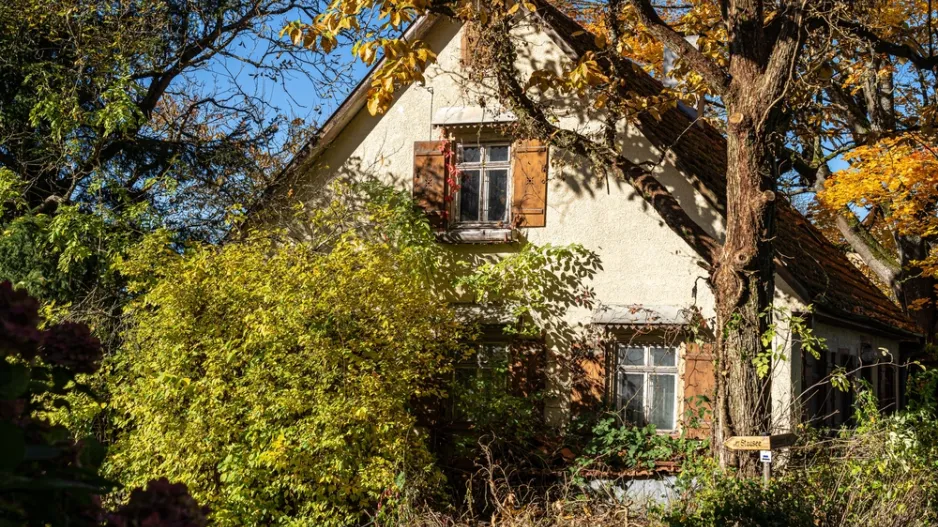 Novinky z pohledu zákonů