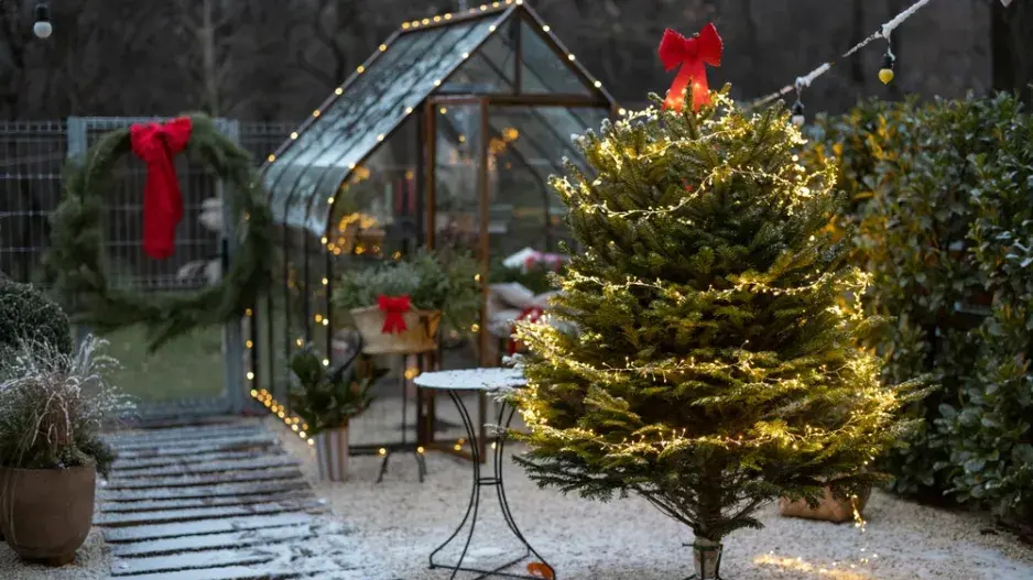Jak odekorovat zahradu před Vánocemi?