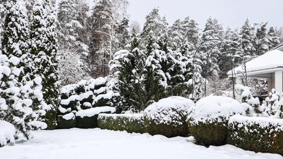 Krásy zimní zahrady