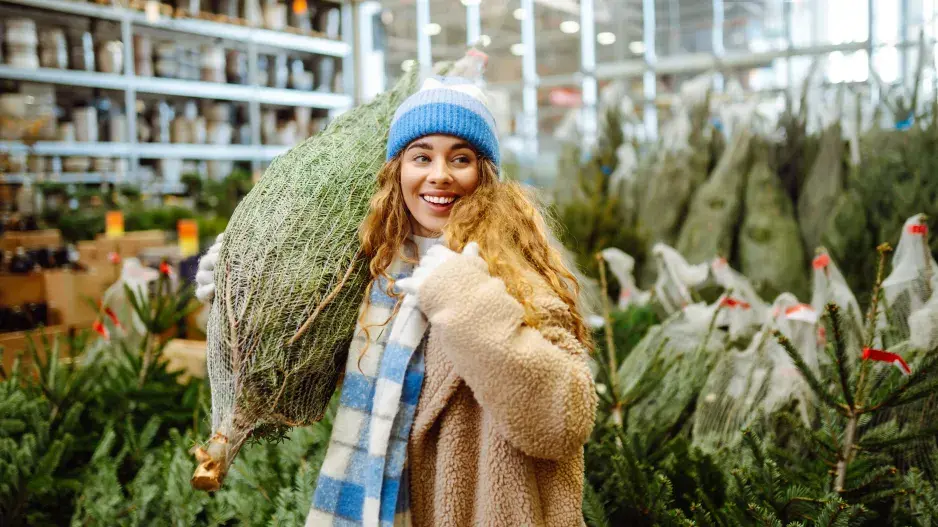 Jak vybrat vánoční stromek