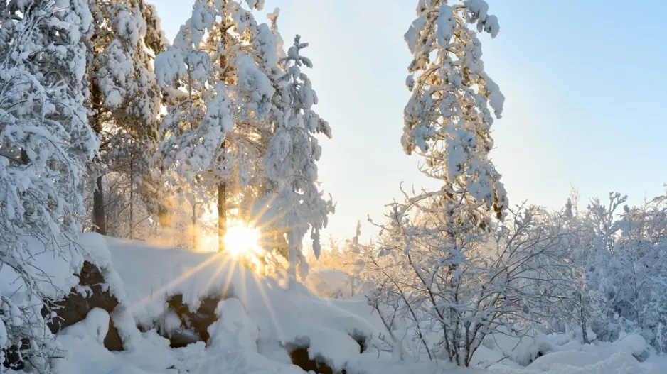 Zimní slunovrat je období, kdy začíná skutečná zima