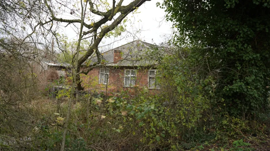 Sestřih zdivočelých okrasných keřů