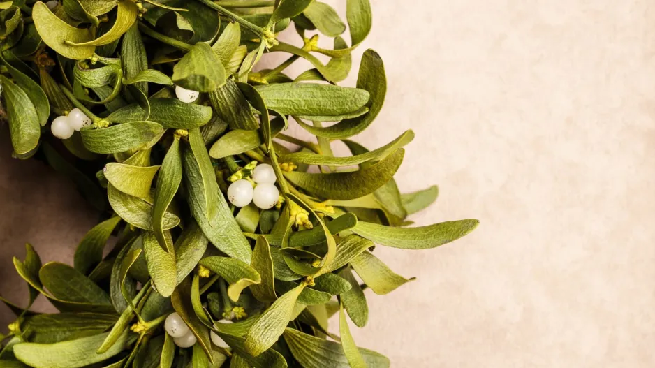 Vánoční věnec na dveře 