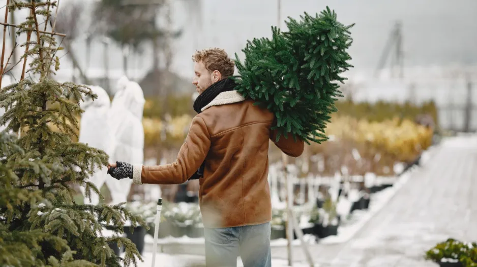 Živý vánoční stromeček 