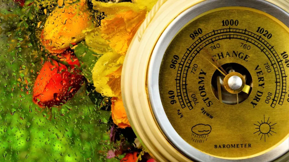 Přírodní barometr 