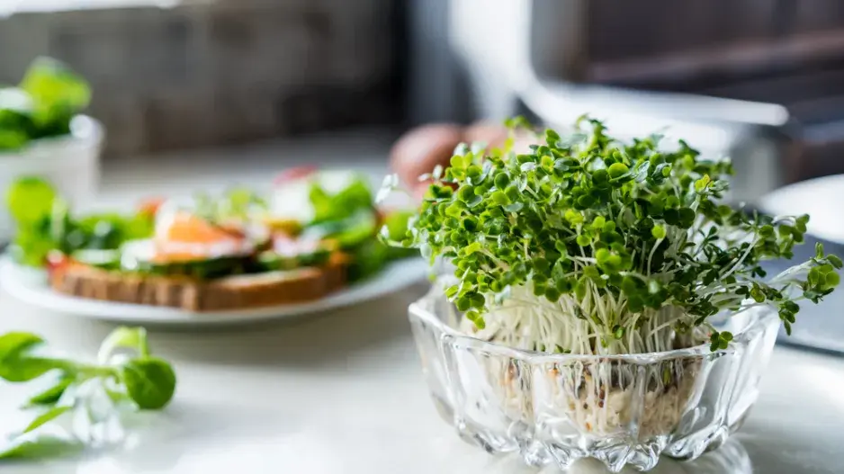 Microgreens