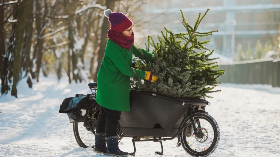 Vánoční stromeček