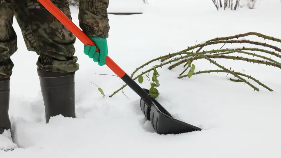 Využití sněhu v zahradě