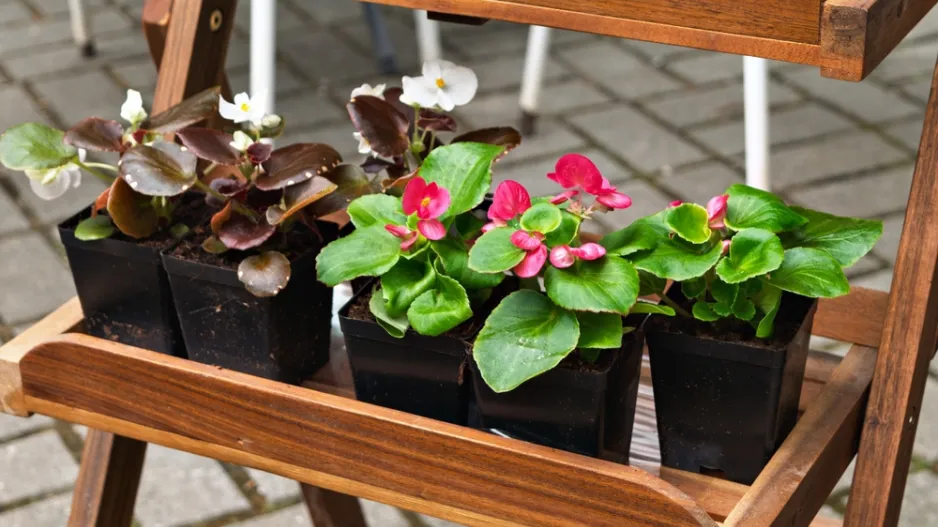 Venkovní stojany na květiny 