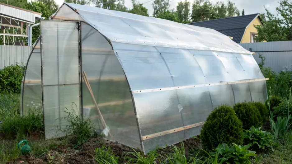 Příprava skleníku na pěstování zeleniny