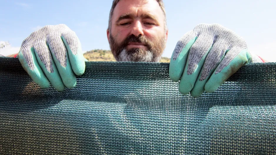 Stínovky v zahradě