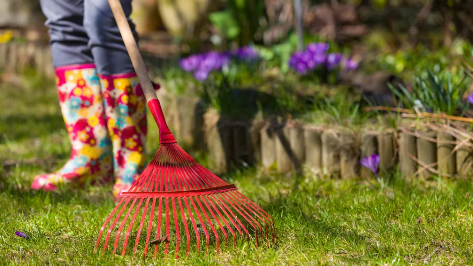 Co na zahradě dělat jako první, když sleze sníh a půda povolí?