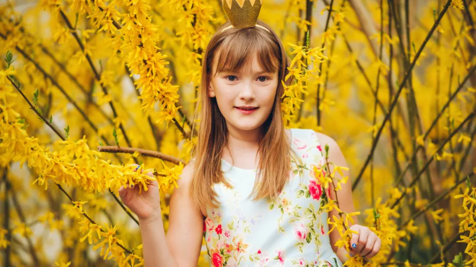 Nejkrásnější jarní keř zlatice