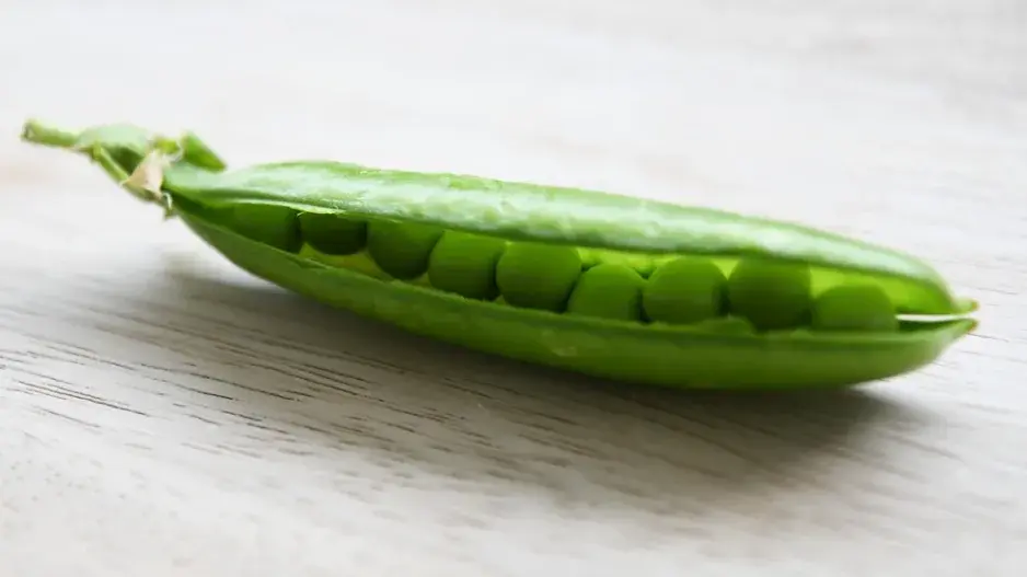 Pěstování hrášku