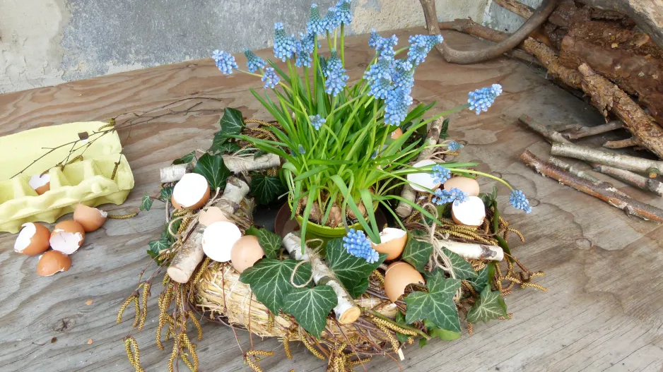 velikonoční modřence