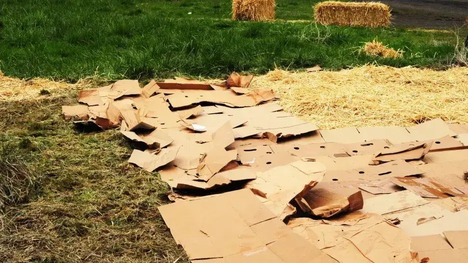 Odstranění plevele 