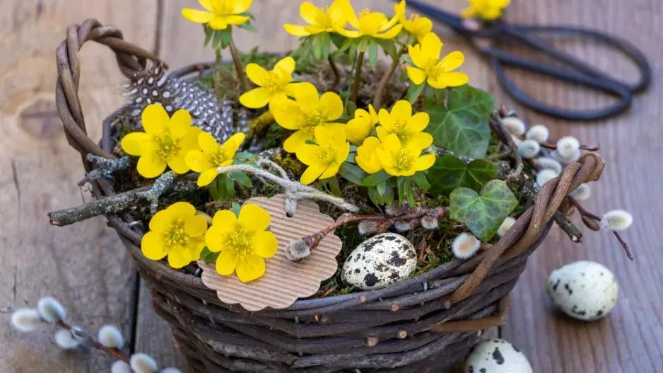 Pašijový týden v zahradě: Květiny, tradice a jarní probuzení