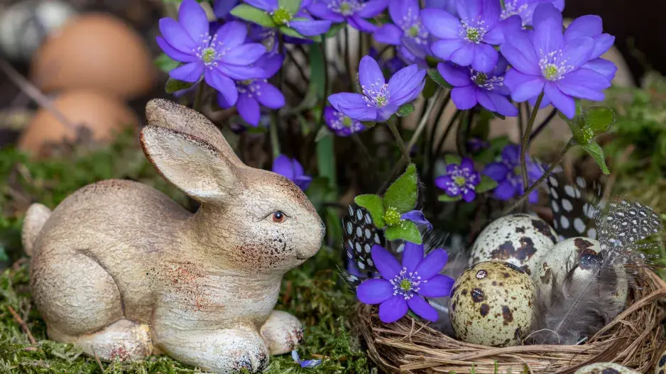 Jaterník podléška (Hepatica nobilis) 