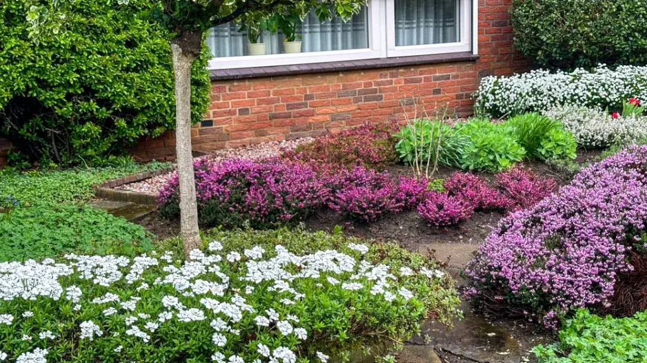 Bezúdržbová zahrada