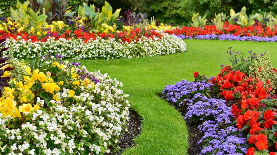 Oddělení záhonu od trávníku