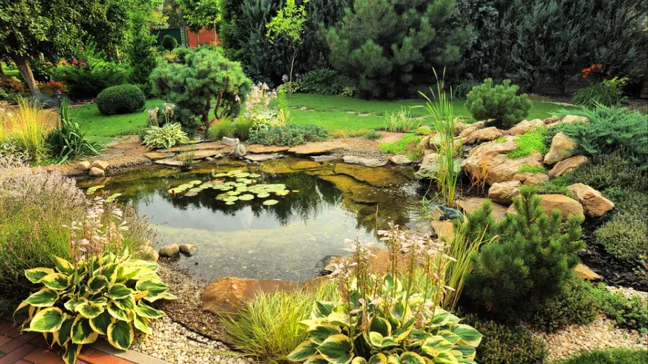 Přírodní jezírko