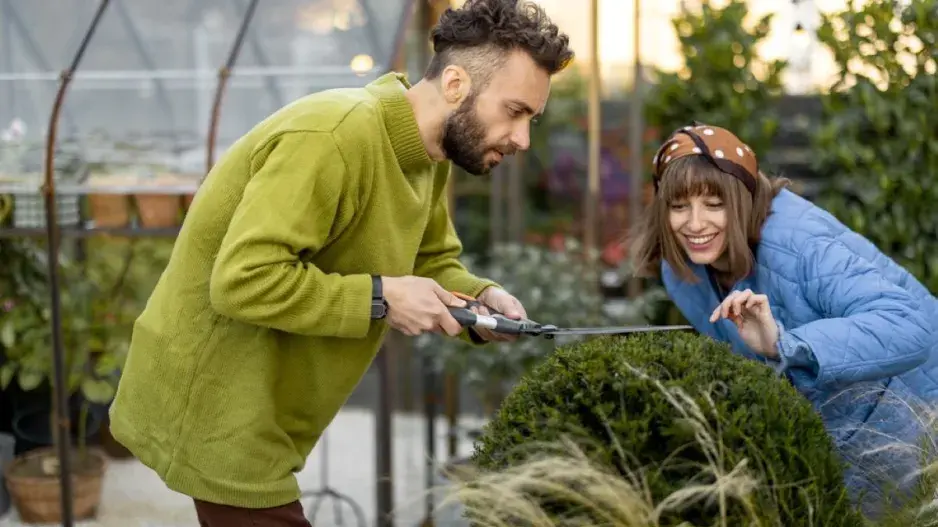 Tvarované dřeviny v zahradě