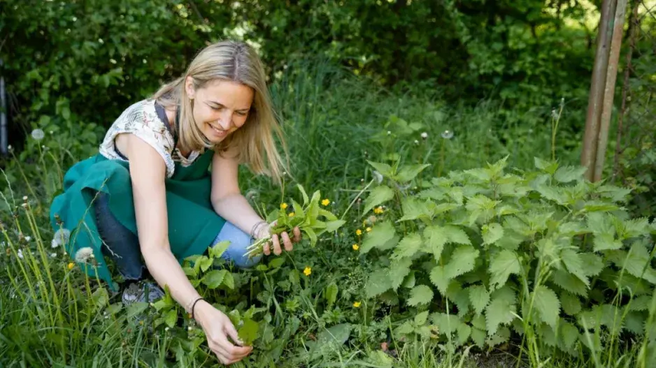  Jedlé bylinky rostou všude