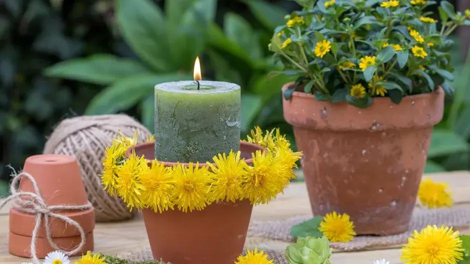 Jarní dekorace z pampelišky