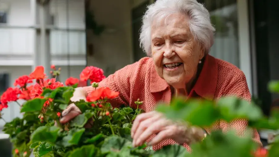 Péče o balkonové rostliny