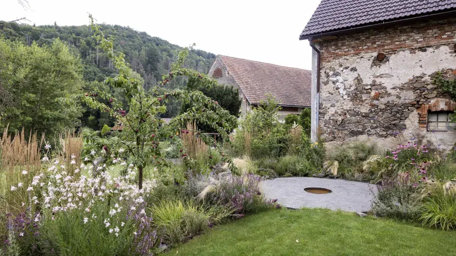 Mlatové plochy v zahradě: Přirozená krása v detailu