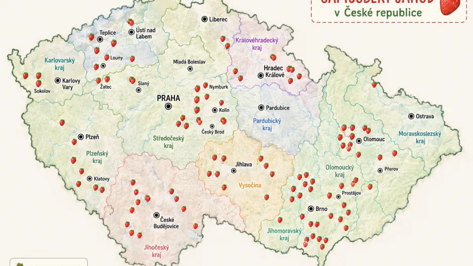 Výživa jahod