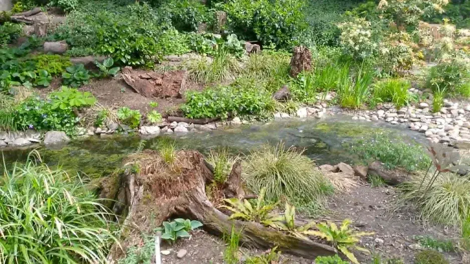 Budování skalky a inspirace od prvního kamene po rozkvetlý svah